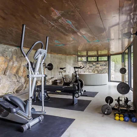 Pavon By My Collection