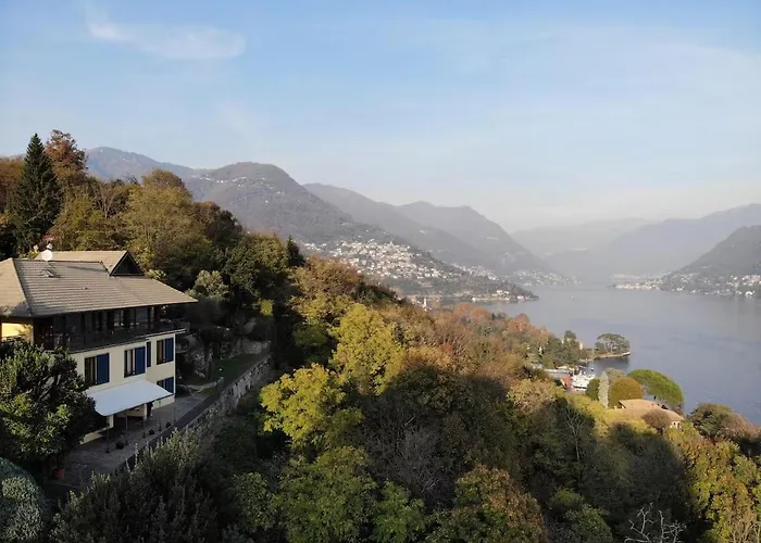 Pavon By My Collection *