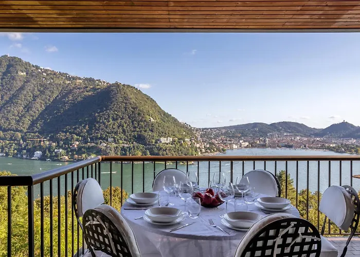 Pavon By My Collection