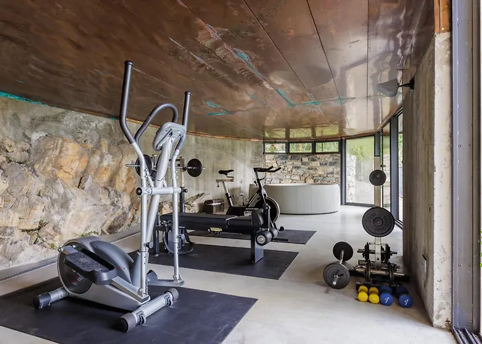 Pavon By My Collection