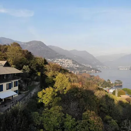 Pavon By My Collection *