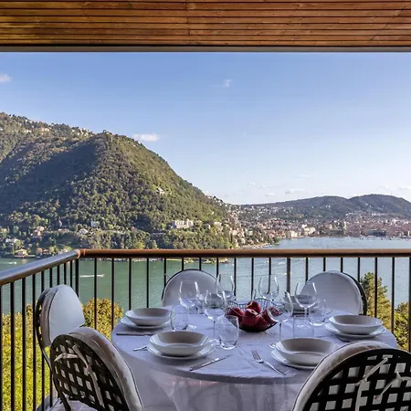 Pavon By My Collection