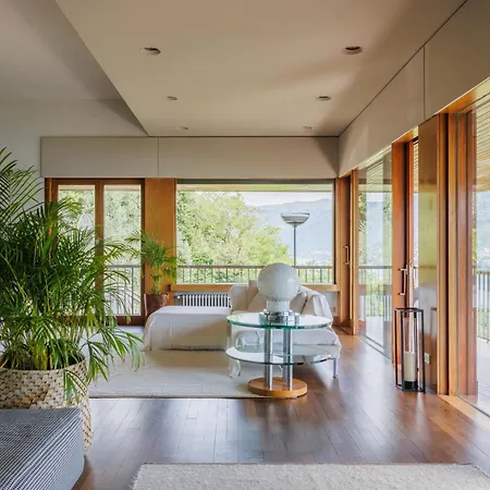 Pavon By My Collection * 切尔诺比奥